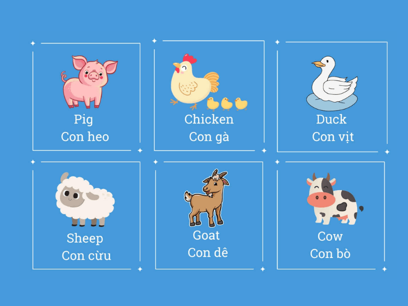 Từ Vựng Tiếng Anh Lớp 7 Theo Chủ Đề Động Vật