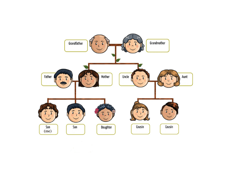 Từ Vựng Tiếng Anh Lớp 7 Theo Chủ Đề Gia Đình